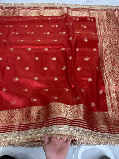 Banarasi Soft Tissue Silk Saree