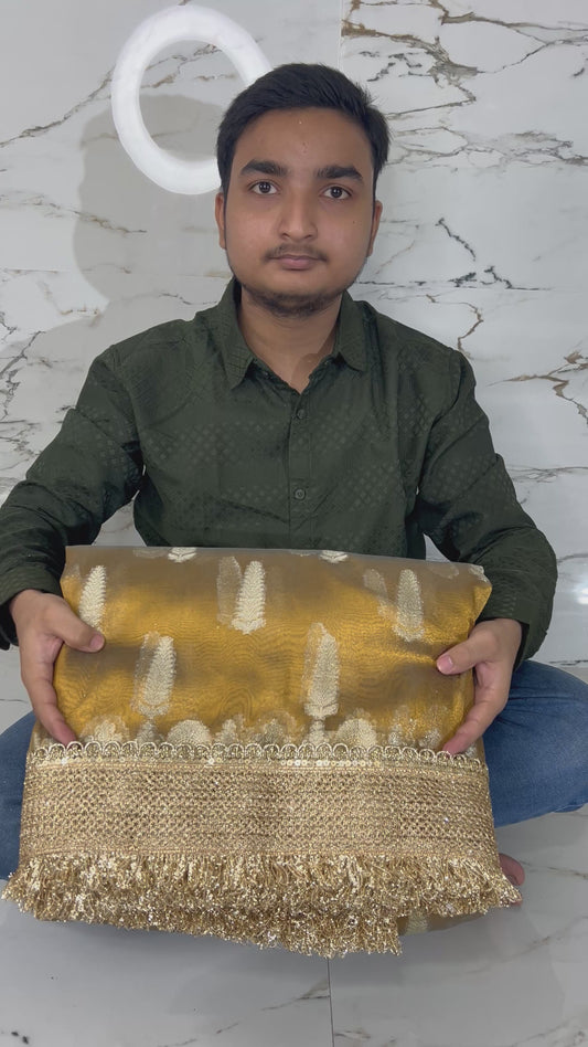 Banarasi Soft Tissue Silk Saree