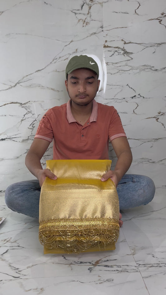 Banarasi Handloom Soft Tissue Silk Saree