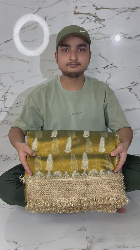 Banarasi Soft Tissue Silk Saree