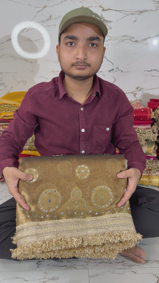 Banarasi Soft Tissue Silk Saree With Mirror Work